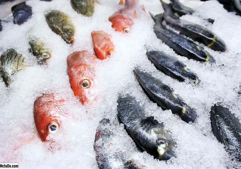 Sådan opbevares fisk i fryseren