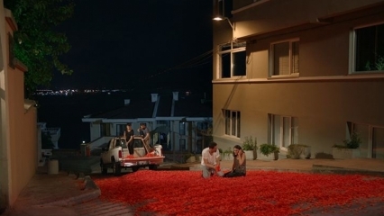 Onur Tunas ægteskabsforslag med 100 tusind roseblade!