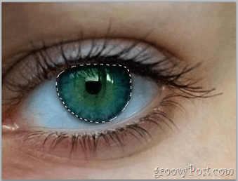 Grundlæggende om Adobe Photoshop - Human Eye Select eye lag