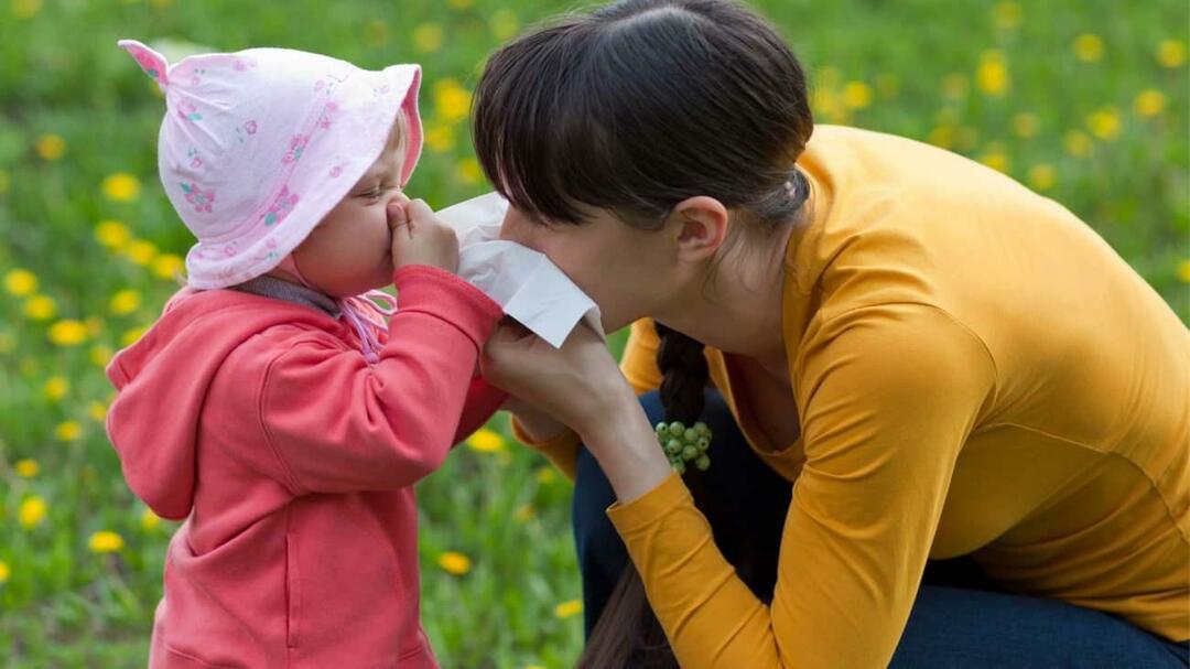 Hvad er forskellen mellem sæsonbestemt allergi og forkølelse hos børn?