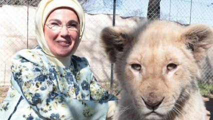 First Lady Erdoğan tog et foto med baby løver