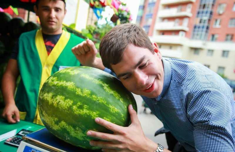 hvordan man forstår saftig vandmelon
