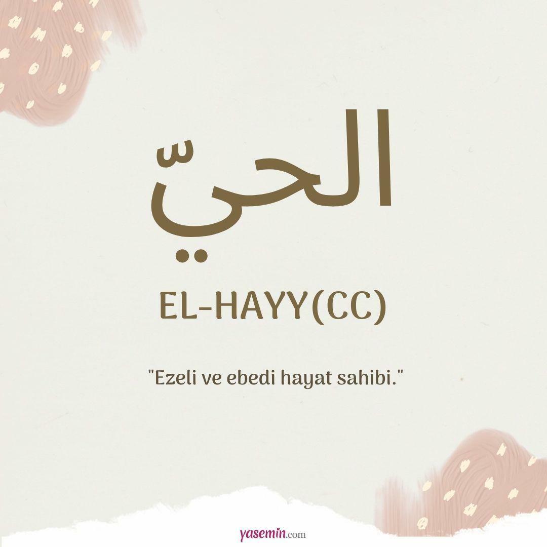 Hvad betyder al-Hayy (c.c)?