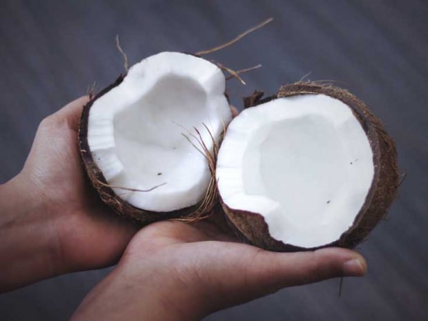 kokosnød