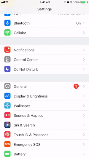 Tilføj skærmoptagelsesfunktionen til kontrolcenteret på din iOS-enhed.