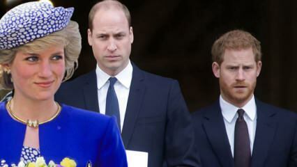 Beklager fyrsterne til BBC... Prins William: Interviewet brød vores familie op!
