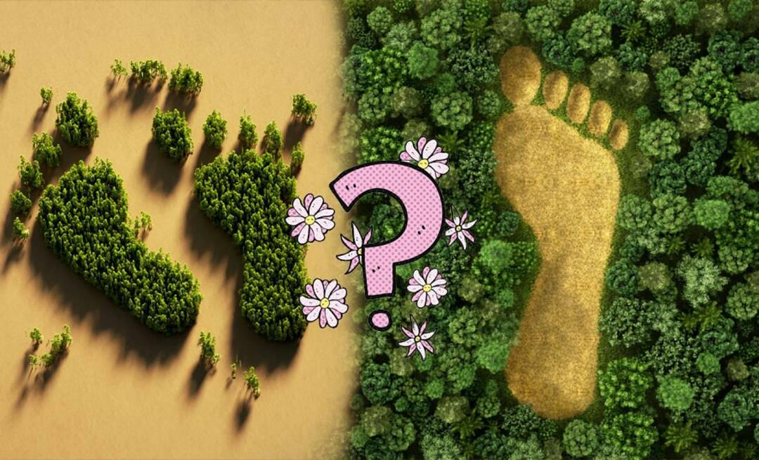 Hvad er carbon footprint, og hvordan beregnes carbon footprint? Hvad betyder CO2-fodaftryk?