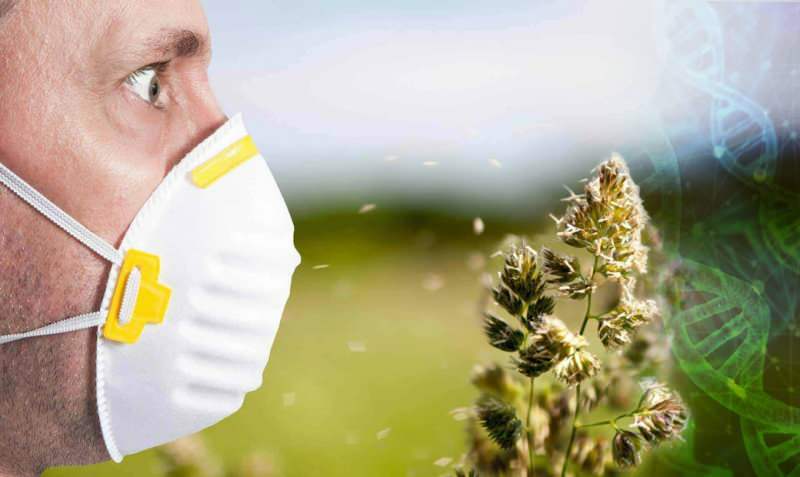 Hvorfor startede pollenallergien tidligt!