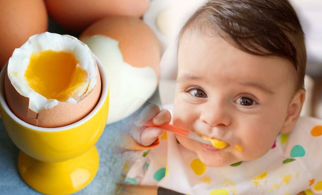 Hvilken konsistens gives æg til babyer? Hvordan koger man æg til babyer?