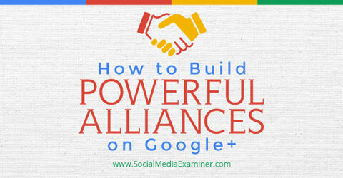 opbygge alliancer på google +