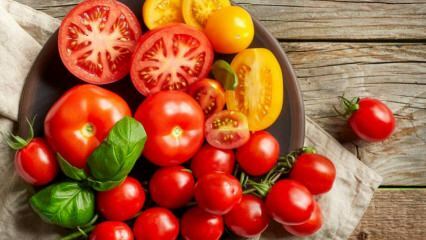 Hvordan kan man tabe sig ved at spise tomater? 3 kilo tomat kost 