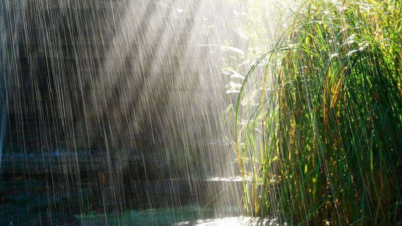Bønner, der skal læses for regnvandet! Er helbredelsen af ​​aprilregn? Fordele ved aprilregn