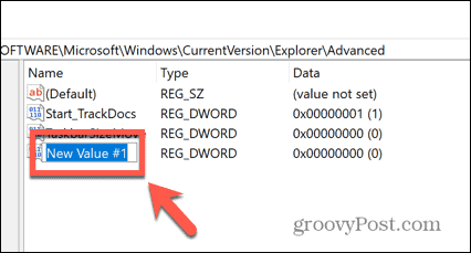 Windows 11 vælg dword
