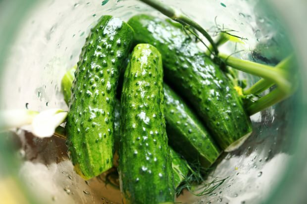 Hvordan man laver pickles derhjemme
