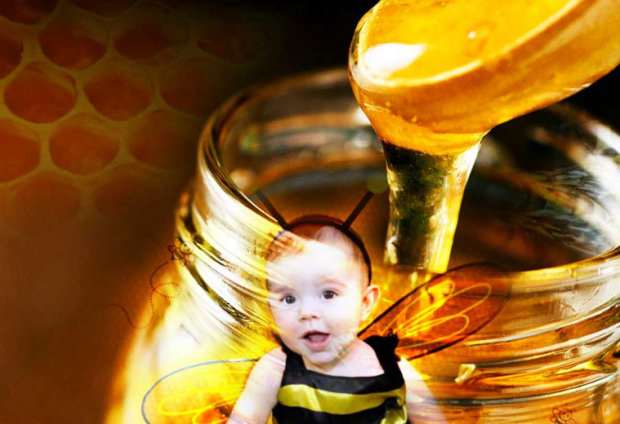 skal honning gives til babyer?