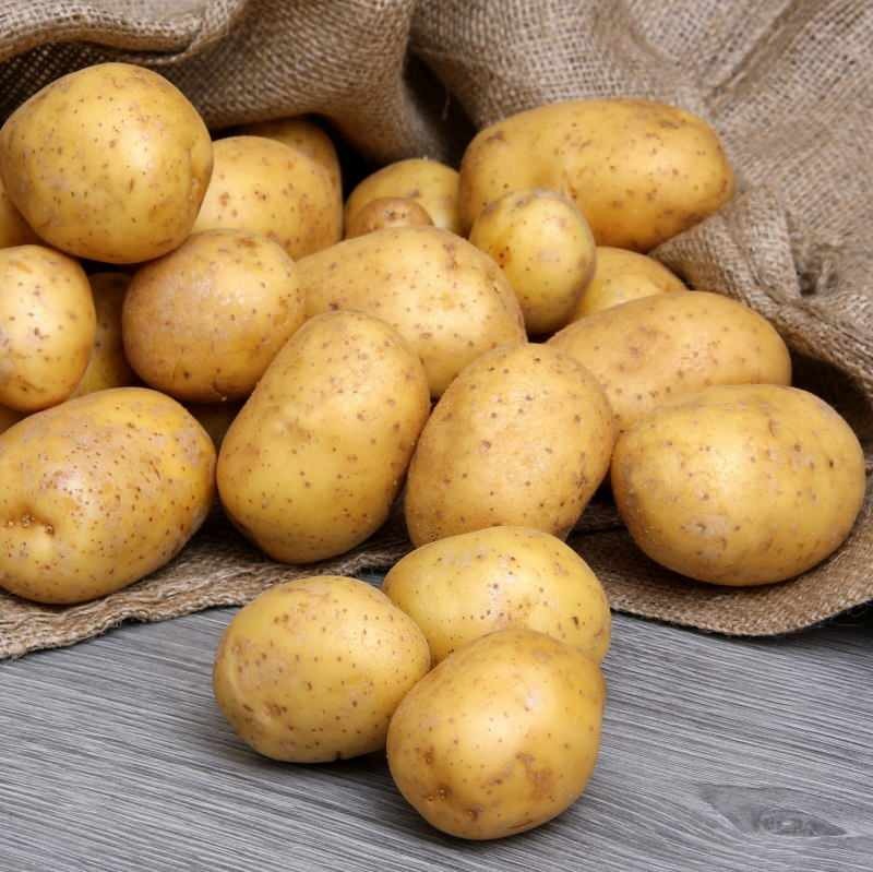 Hvad er forskellen mellem spiselige kartofler og pommes frites