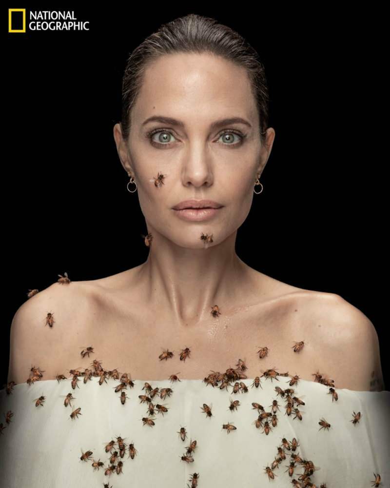 Angelina Jolie i linse med bier til bier!