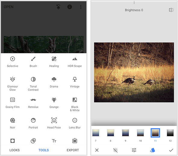 En Snapseed-menu til venstre viser 20 forskellige værktøjer, og et eksempel på et Snapseed-filter til højre viser a foto af to vilde kalkuner, der går i gyldent græs og en menu med filtre i bunden af ​​en mobilskærm.