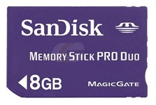 Dandisk hukommelseskort 8 GB