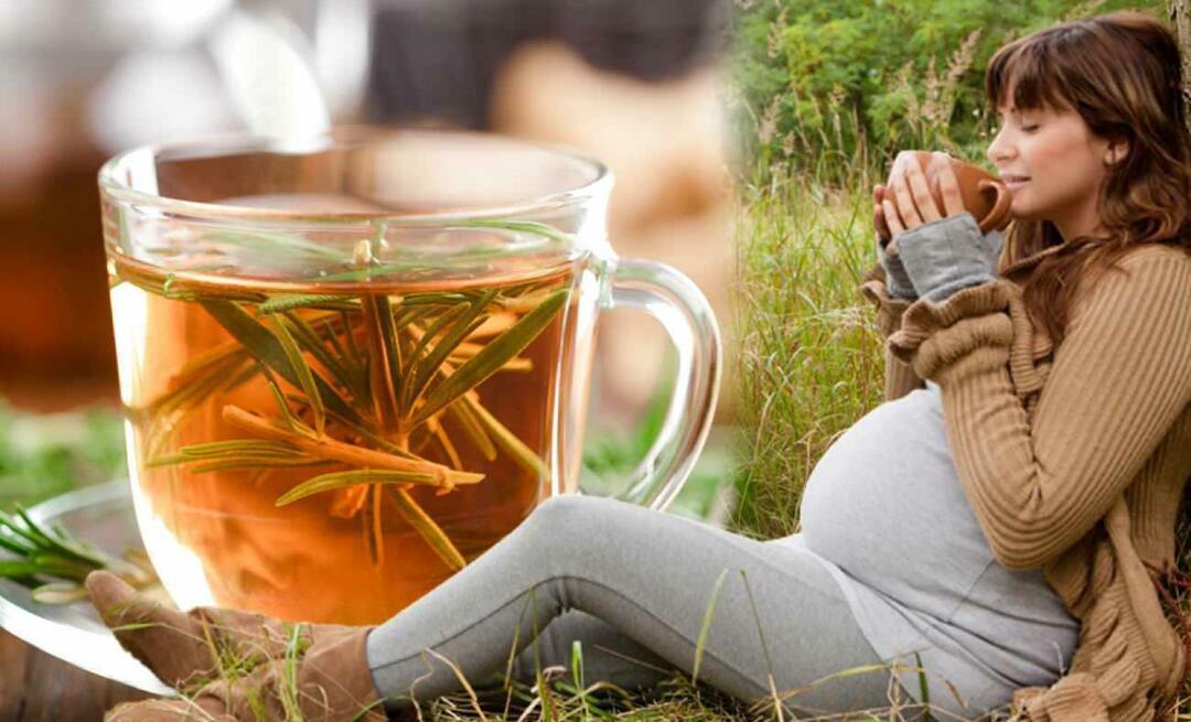 Kan gravide drikke vinterte? Hvilken te skal drikkes under graviditet? vinterteer til gravide