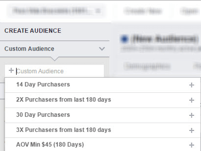 Analyser dit valgte tilpassede publikum i Facebook Audience Insights.