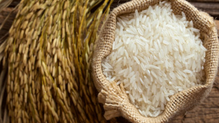 Hvordan forstås det bedste af ris? 