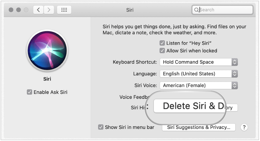 Slet Siri History på Mac