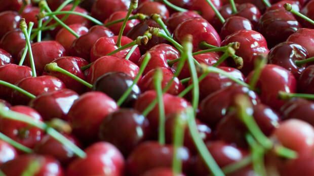 Hvad er fordelene ved kirsebær? Hvad gør kirsebærstilk?