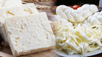 Hvordan forstå god ost? Tips til valg af ost