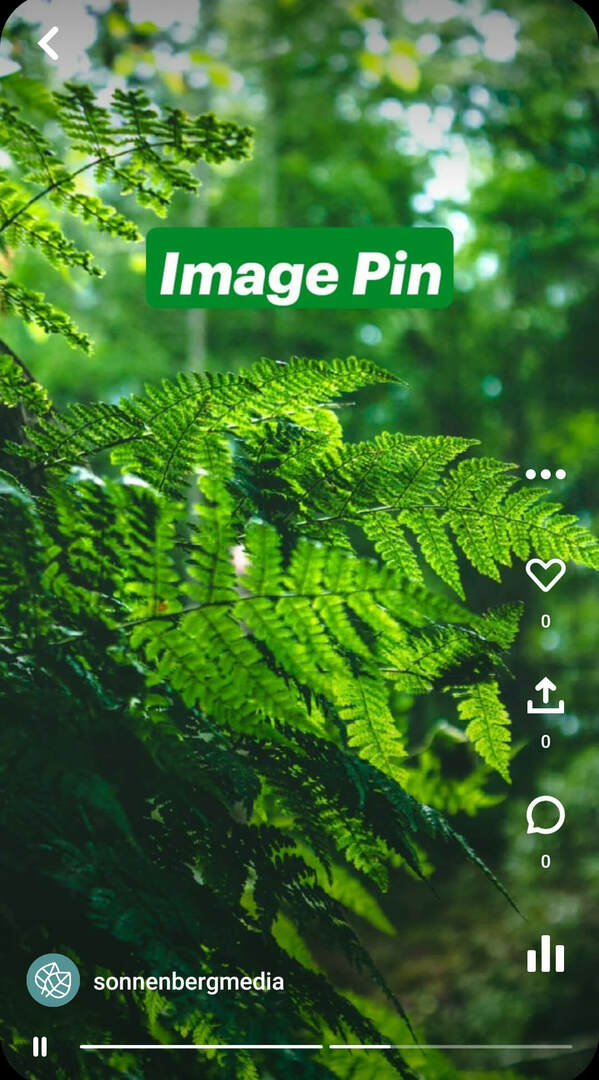 what-er-pinterest-idea-pins-sonnenbergmedia-image-pin-example-2