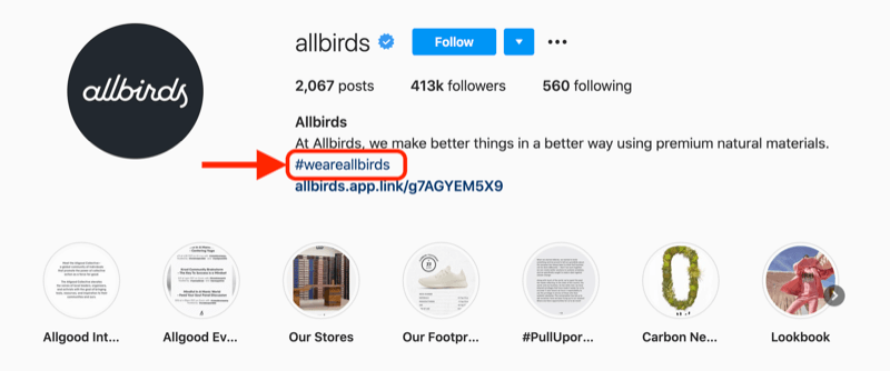 eksempel på en virksomheds hashtag inkluderet i profilbeskrivelsen af ​​Instagram-kontoen @allbirds