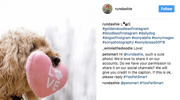 PetSmart gennemgår en række kæledyrsrelaterede hashtags og beder fans om tilladelse til at bruge relevante billeder i deres markedsføring.