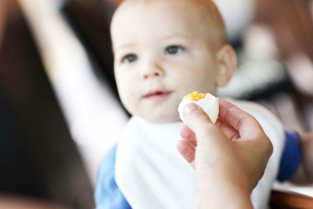 baby spiser æg