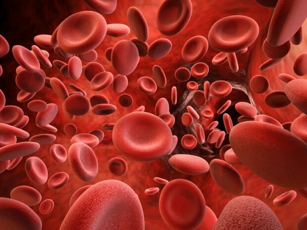 Hvad er symptomerne på blodpladens højde?