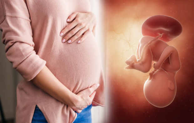 Hvad er symptomerne på graviditet? Tidlige graviditetssymptomer