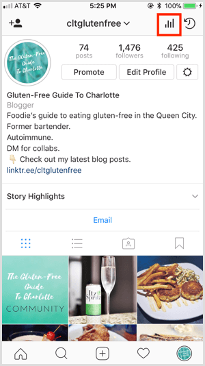 Instagram Insights adgang fra profil