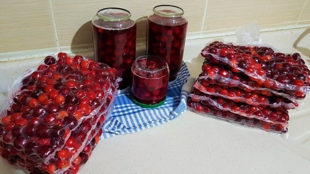 metoder til opbevaring af surt kirsebær