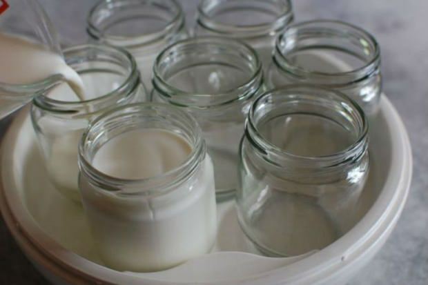 yoghurt fra landsbymælk