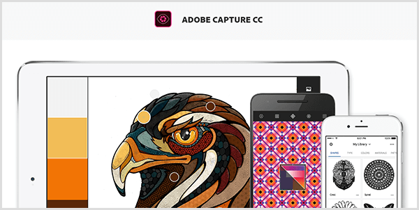 Adobe Capture opretter en palette fra et billede, du tager med en mobilenhed. Hjemmesiden viser en illustration af en fugl og en palet oprettet ud fra illustrationen, som inkluderer lysegrå, gul, orange og rødbrun.