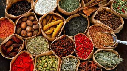 Hvordan skal krydderier opbevares? Hvad er betingelserne for opbevaring af krydderier?
