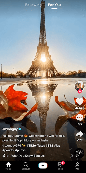 skærmbillede af tiktok-indlæg af @ wonguy974 med titlen falsk efterår, der viser Eiffeltårnet i silhuet og solen går ned bag sig med refleksion i en vandpyt indrammet af to efterårsblade i bunden af billede
