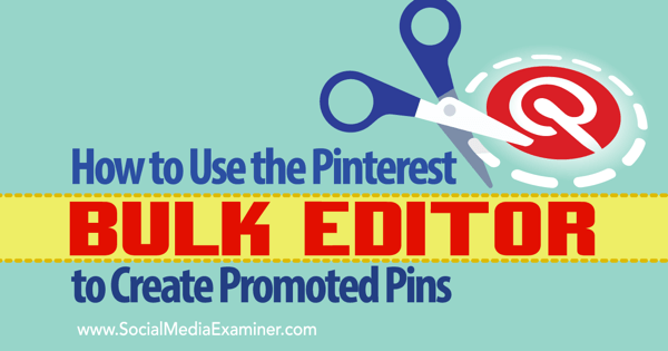 promoverede pins og pinterest bulk editor værktøj