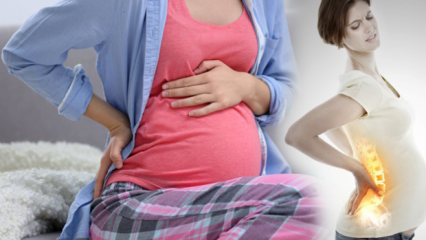 Hvordan forsvinder rygsmerter under graviditet? Bedste metoder til lændesmerter i ryggen og ryggen under graviditeten
