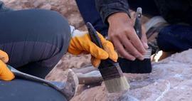 Opdagelse, der vil ændre historiens gang: Arkæologer fandt verdens ældste træstruktur