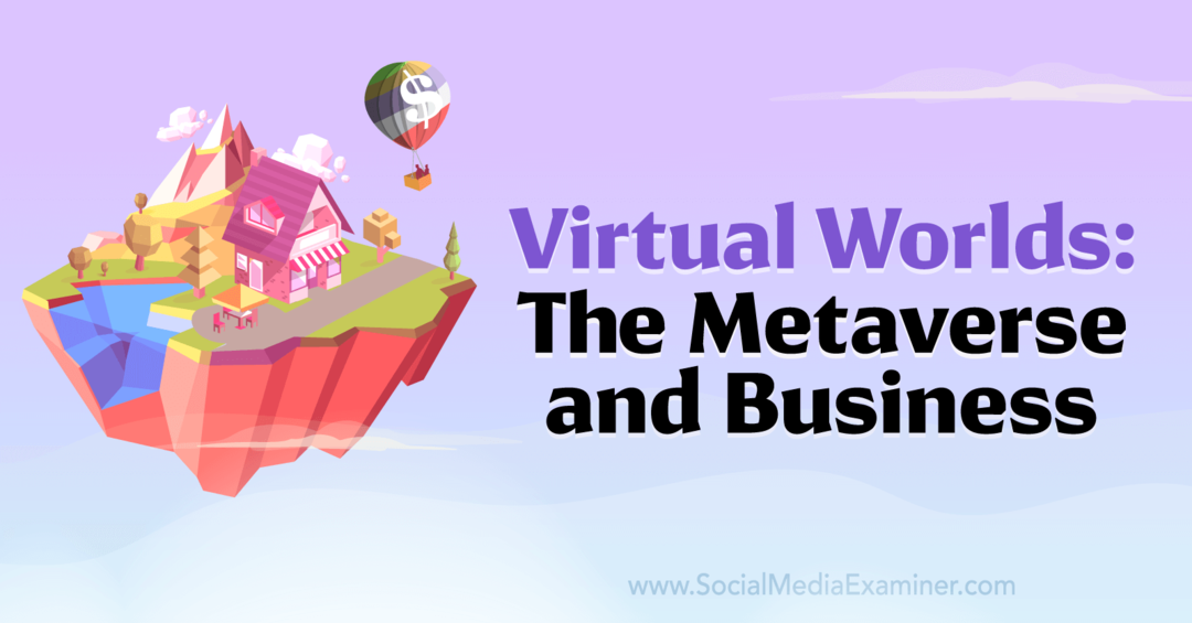 Virtual Worlds: The Metaverse og Business-Social Media Examiner