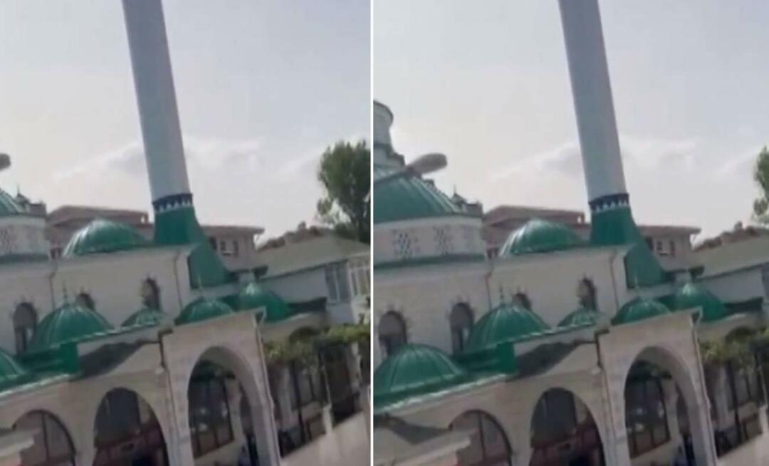 'Katten er trist'-meddelelse fra moskeen gik viralt! De øjeblikke, der får alle til at smile...