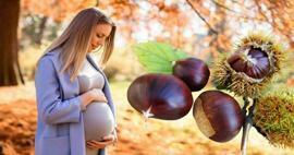 Kan gravide spise kastanjer? Fordele ved at spise kastanjer under graviditeten for baby og mor