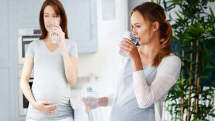 Fordele ved drikkevand til gravide kvinder! Hvor meget vand skal forbruges dagligt under graviditeten? 