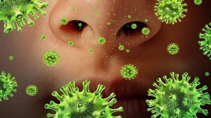 Re-emerging: Hvad er Sars-virussen, og hvad er dens symptomer? Hvordan overføres Sars-virussen?