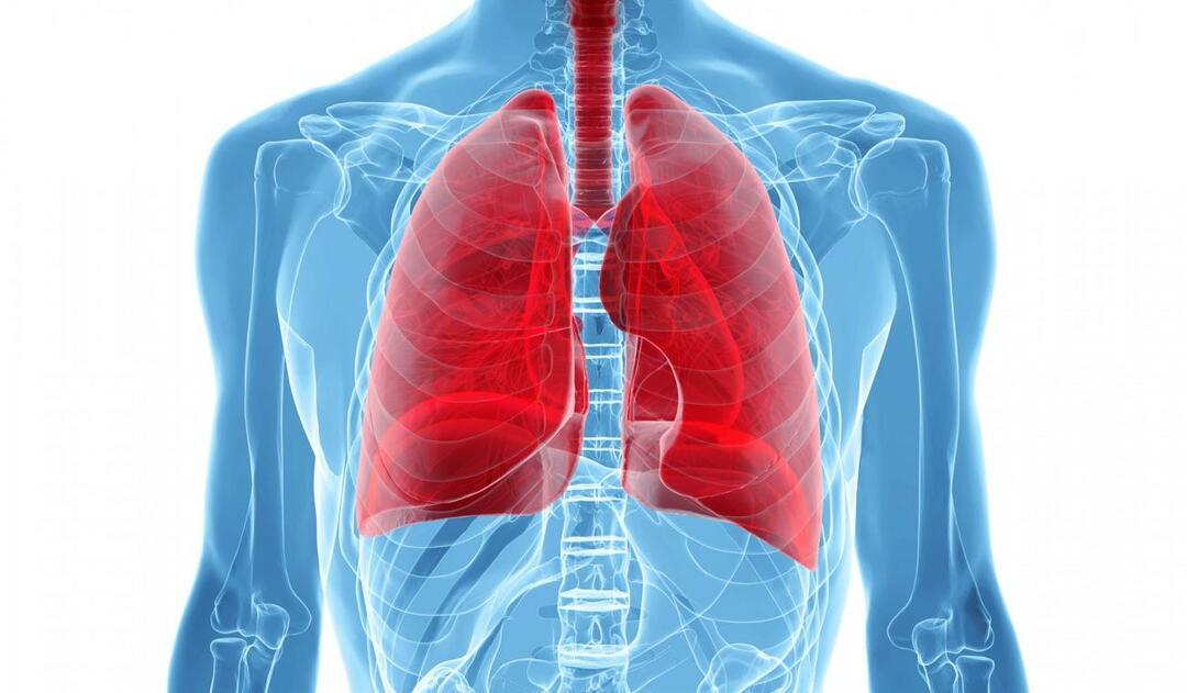 Hvad er White Lung Syndrome, og hvad er dets symptomer? Hvad er behandlingen for White Lung Syndrome?